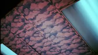 zzzzz (forest) - ricky eat acid + melody144