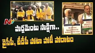 AP YCP and TDP MP's Holds Protest at Parliament | Demands Special Status | NTV
