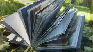 The Lost Spells by Robert Macfarlane and Jackie Morris
