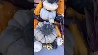 List in the comments!
