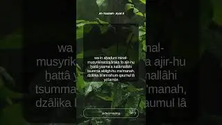 Qs.At Taubah 06 #fypviral #alquran #allah #shortvideo #islamicstatus #quotes #islamicquotes #fyp