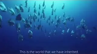 Refuse single-use plastic