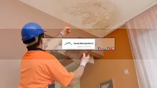Cascade Mold Inspection Introduction