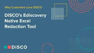 DISCO's Ediscovery Native Excel Redaction Tool