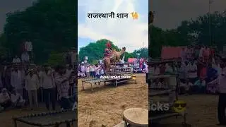 🐪#viral #camel #dance #song #love #youtubeshorts #rajasthan #facts #new #news #shorts #video #yt #up