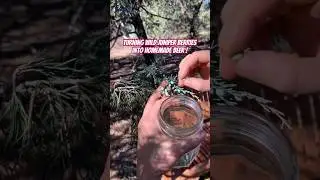 Back by Popular Demand: Crafting Beer with Wild Juniper Berries! | #shorts #homebrew