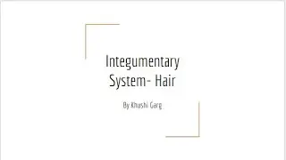 Integumentary System- The Hair Anatomy Video 2