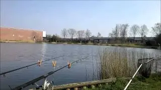 Hechtalarm beim Karpfen Ansitz