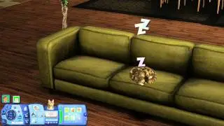 Die Sims 3 Einfach tierisch (PC) - Feature Preview Video