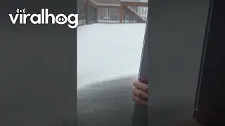 Heavy Snow in Toronto || ViralHog