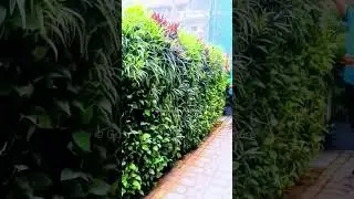 Green Wall #verticalgardening #gardening #landscape #plants #greenwall #garden