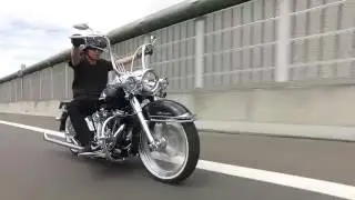 FLSTC Cholo-Style TRIJYA Custom Part2