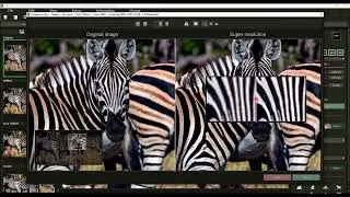 Zoom - Basic Functions