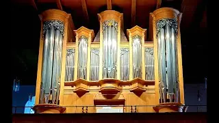Toccata e Fuga  Josef Ferdinand Norbert Seger (1716 - 1782)
