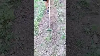 the process of cleaning grass on plants with simple tools #grass #cleaning #process #simpletools