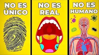 6 mitos desmentidos sobre el cuerpo humano