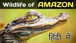 अमेज़न में जीवन || Life in Amazon National Geographic || Hindi || Gnostic Facts|