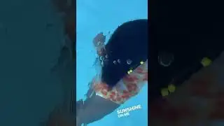 SUNSHINE #shorts #viralshorts #shortvideo #trending #lotto