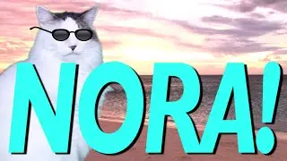 HAPPY BIRTHDAY NORA! - EPIC CAT Happy Birthday Song
