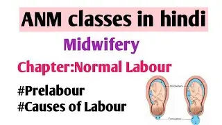 Normal Labour Class 3| Stages of Labour in Hindi/Normal Labour in Hindi | ANM GNM Midwifery