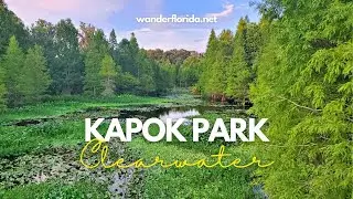 Explore the Beauty of Kapok Park | Clearwater, FL
