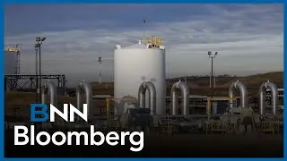 'We think that energy is the one commodity that hasn't gotten much love': Portfolio manager