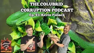 High Level Production While Staying Lowkey w/ Kevin Pollack | Colubrid Corruption | Ep. 93