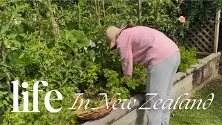 Our slow life in New Zealand | Living frugally because of our big spending last year | Life reset