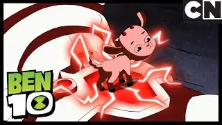 Чупака | Бен 10 на русском | Cartoon Network