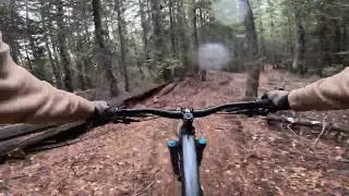 Fernie, BC Bike Trails - Slunt/Brokeback Ridge!