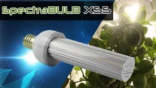 SpectraBULB X55 - Pr&eacute;sentation lampe horticole LED