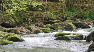 East Lyn Valley   Two Moors Way clip
