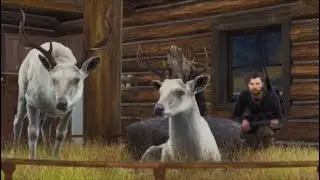 Way of the Hunter Ranger mode hunt 2nd albino whitetail from same herd same day .