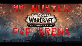 PVP pre-patch WOW Shadowlands 9.0 / MM Hunter arena