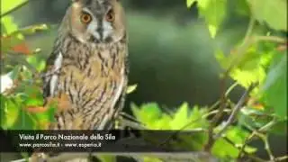 Parco Nazionale della Sila