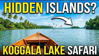 Koggala Lake Boat Safari