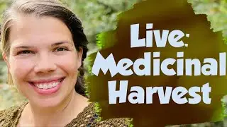 Live: Fall Medicinal Herb Harvest