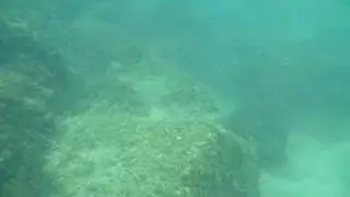 diving