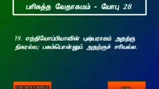 Job 28 Tamil Video Bible