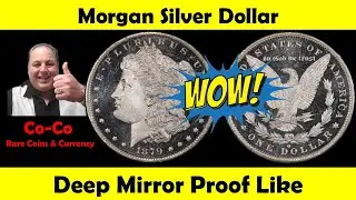 Morgan Silver Dollars - DMPL Type  - Their Value and how to avoid scams!