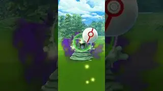 Shiny Shadow Grimer || Pokemon GO