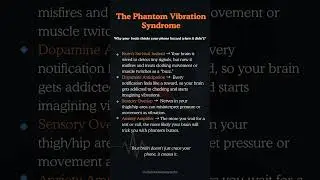 The Psychology of Phantom Vibrations: How Your Brain Tricks You