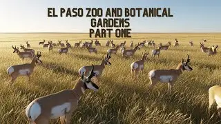 El Paso Zoo and Botanical Gardens Full Tour 2025 - Part One