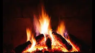 Intoxicaci&oacute;n por mon&oacute;xido de carbono: Bases fisiopatol&oacute;gicas y manejo