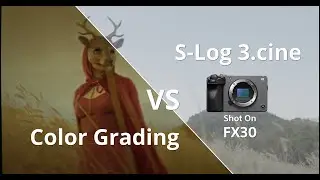 deep in deer cinematic 4K Slog3 vs Final Grading