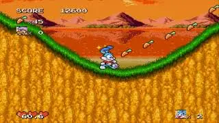 Tiny Toon Adventures: Buster's Hidden Treasure Level 3 Sega Genesis