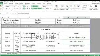 Ejemplo Plan de Auditoria   Excel