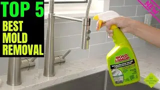 Top 5 Best Mold Removal In 2021 - A Complete Buying Guide For Mold Removal Products