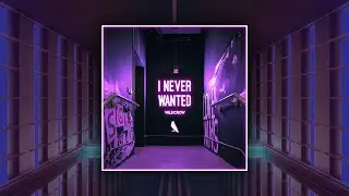 Wildcrow - I Never Wanted