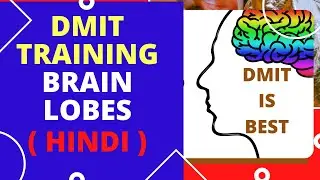 DMIT Training understanding Brainlobes Full. | 9890935775 | FOR DMIT TRAINING HINDI ONLINE |